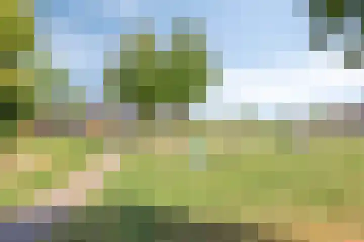 Heilig Kempke 4 Lith thumbnail 34