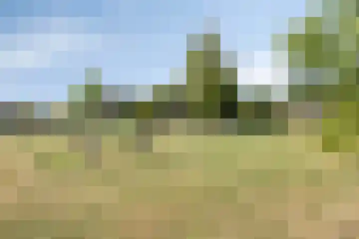 Heilig Kempke 4 Lith thumbnail 35