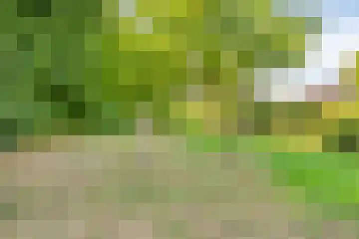 Heilig Kempke 4 Lith thumbnail 37