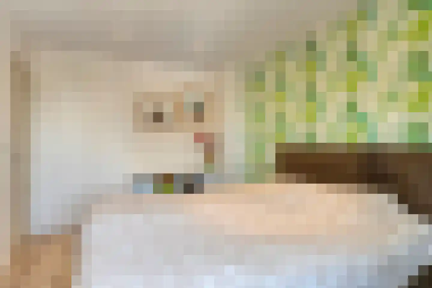 Heilig Kempke 8 Lith thumbnail 17