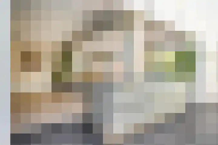 Heilig Kruisgildelaan 27 Nuenen thumbnail 15