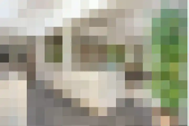 Heilig Kruisgildelaan 27 Nuenen thumbnail 17