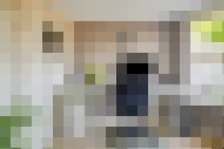 Heilig Kruisgildelaan 27 Nuenen thumbnail 24