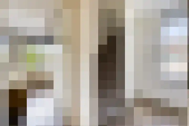 Heilig Kruisgildelaan 27 Nuenen thumbnail 25