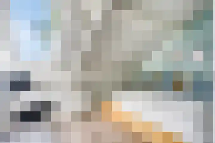 Heilig Kruisgildelaan 27 Nuenen thumbnail 34