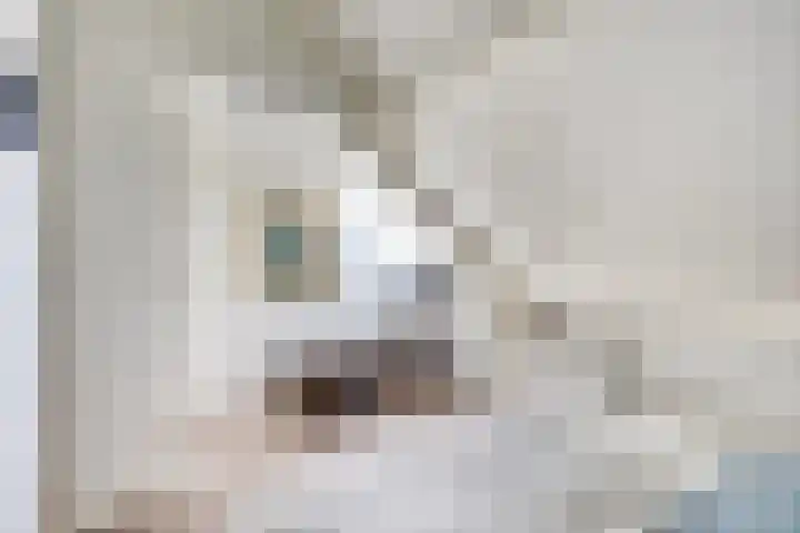 Heilig Kruisgildelaan 27 Nuenen thumbnail 35