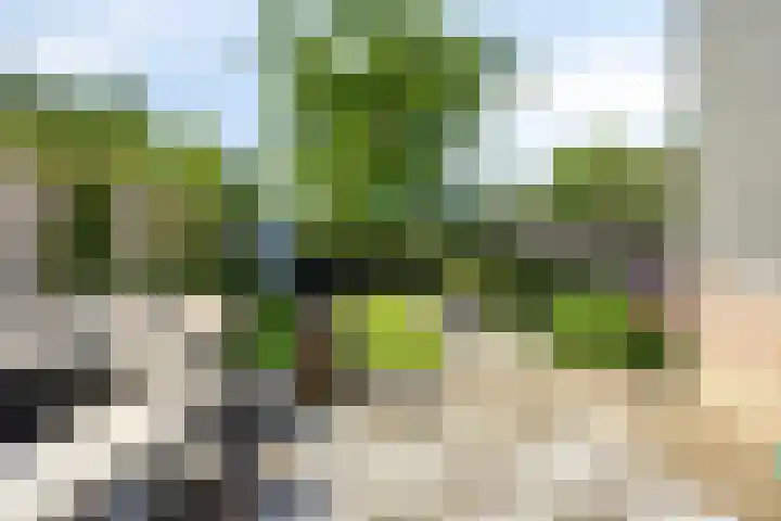 Heilig Kruisgildelaan 27 Nuenen thumbnail 39
