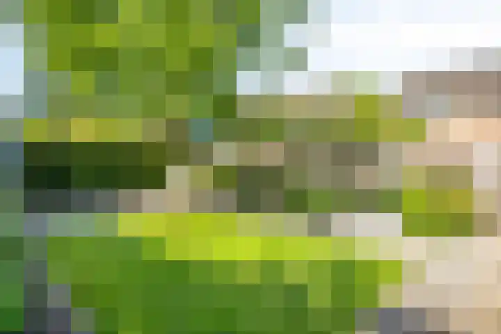 Heilig Kruisgildelaan 27 Nuenen thumbnail 44
