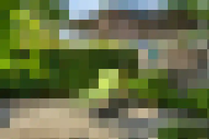 Heilig Kruisgildelaan 27 Nuenen thumbnail 45