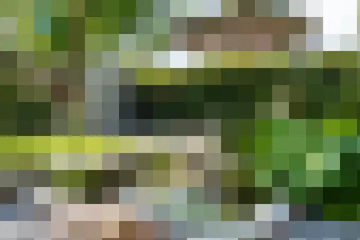 Heilig Kruisgildelaan 27 Nuenen thumbnail 46