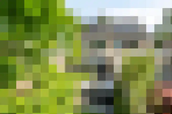 Heilig Kruisgildelaan 27 Nuenen thumbnail 47