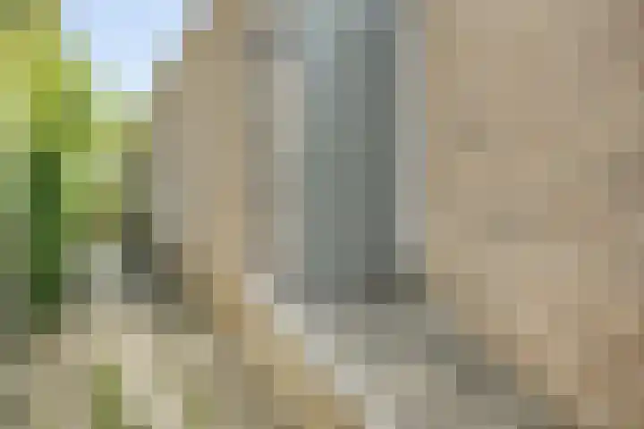Heilig Kruisgildelaan 27 Nuenen thumbnail 48