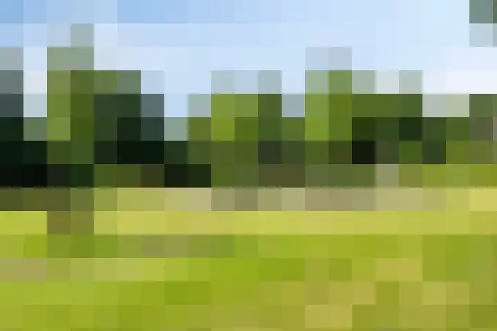 Heilig Kruisgildelaan 27 Nuenen thumbnail 51