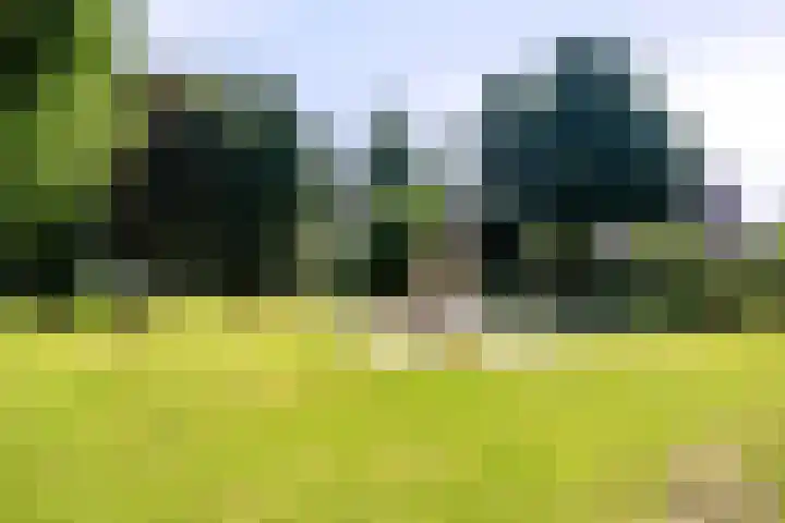 Heilig Kruisgildelaan 27 Nuenen thumbnail 52