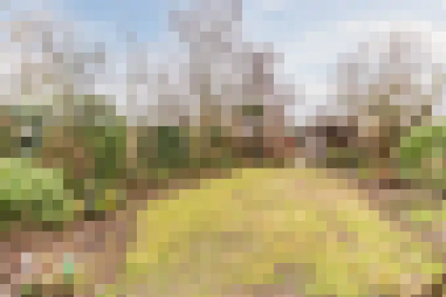 Heilig Kruisgildelaan 6 Nuenen thumbnail 16