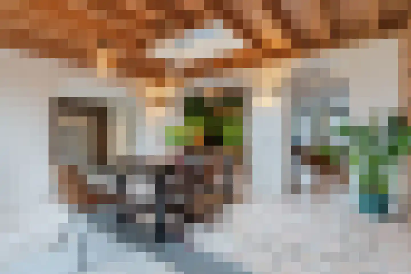 Heilig Kruisgildelaan 6 Nuenen foto 3