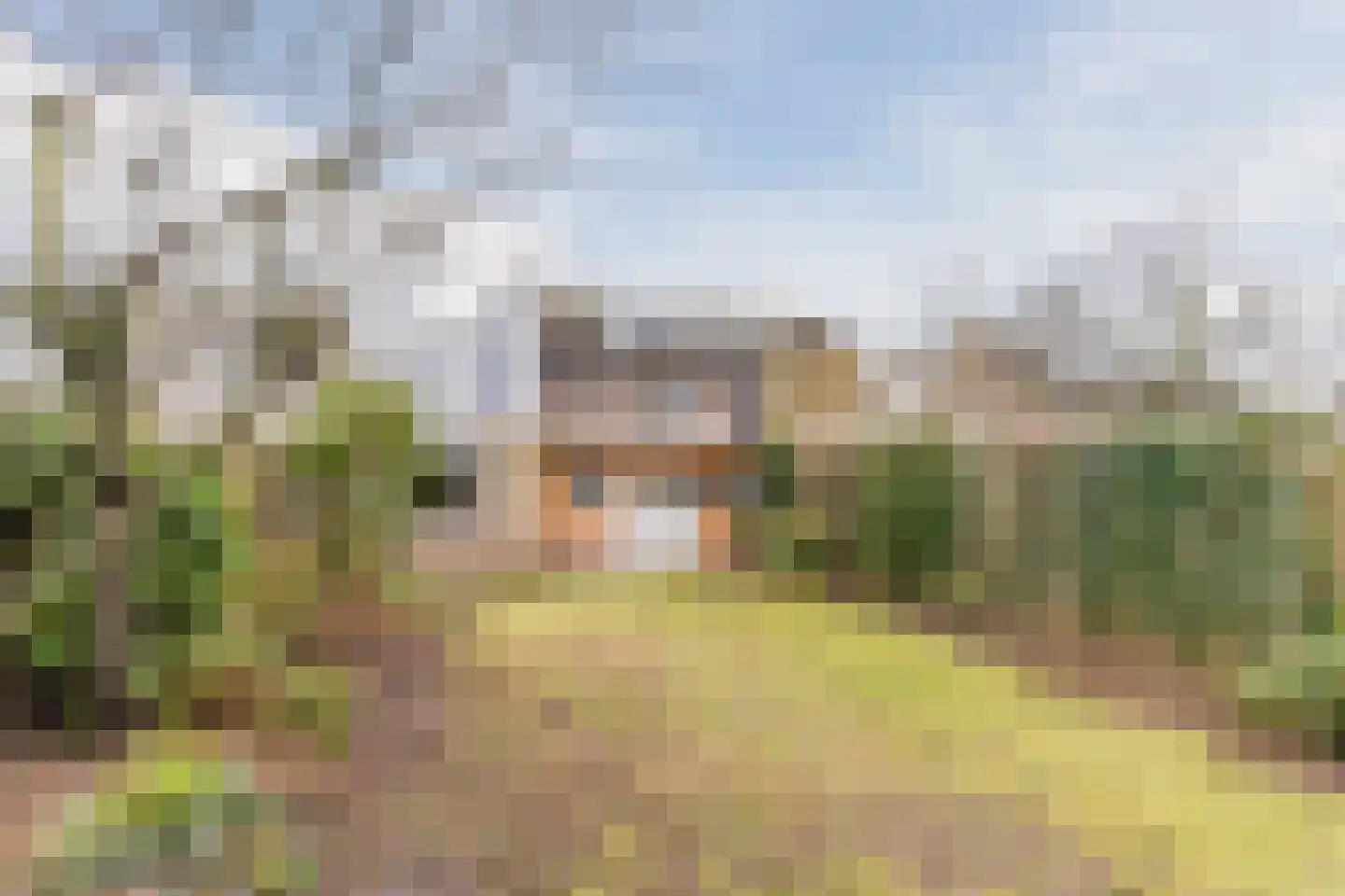 Heilig Kruisgildelaan 6 Nuenen thumbnail 4