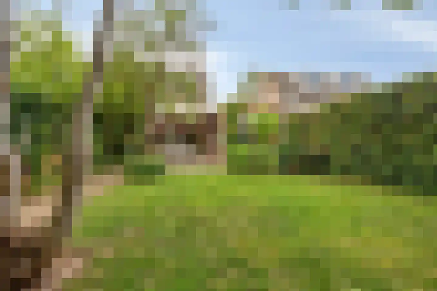 Heilig Kruisgildelaan 8 Nuenen thumbnail 28
