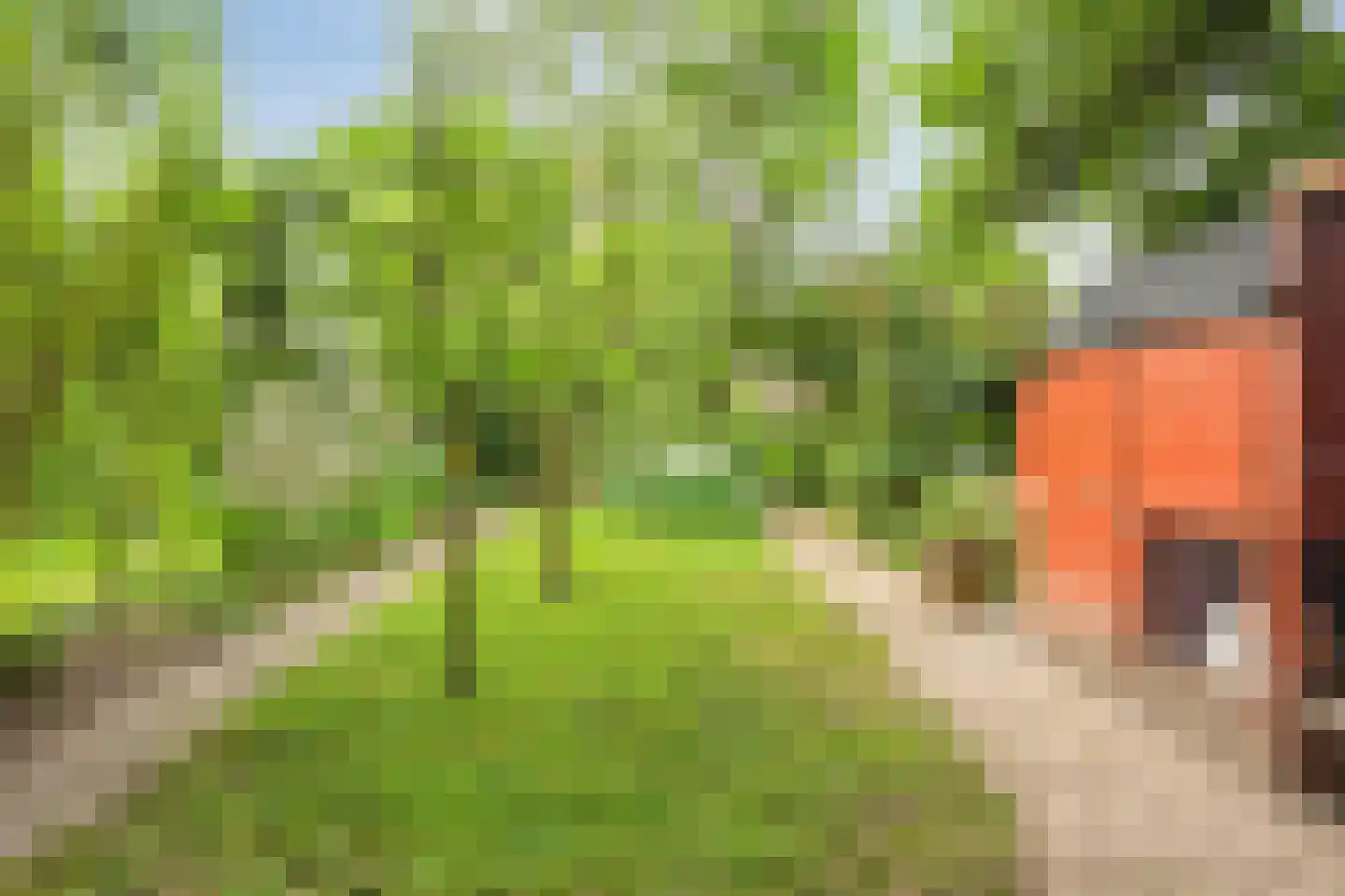 Heilig Kruisgildelaan 8 Nuenen foto 3