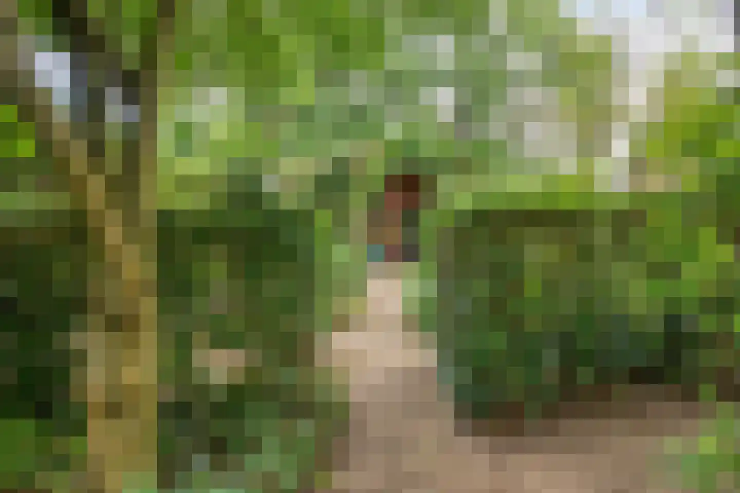 Heilig Kruisgildelaan 8 Nuenen thumbnail 32