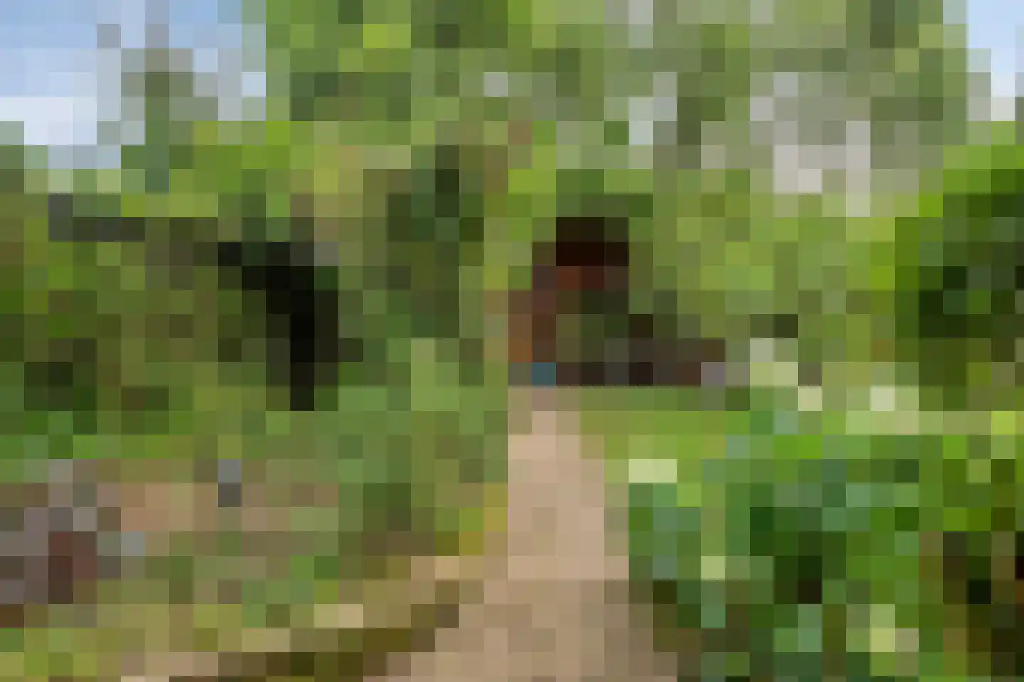 Heilig Kruisgildelaan 8 Nuenen thumbnail 33
