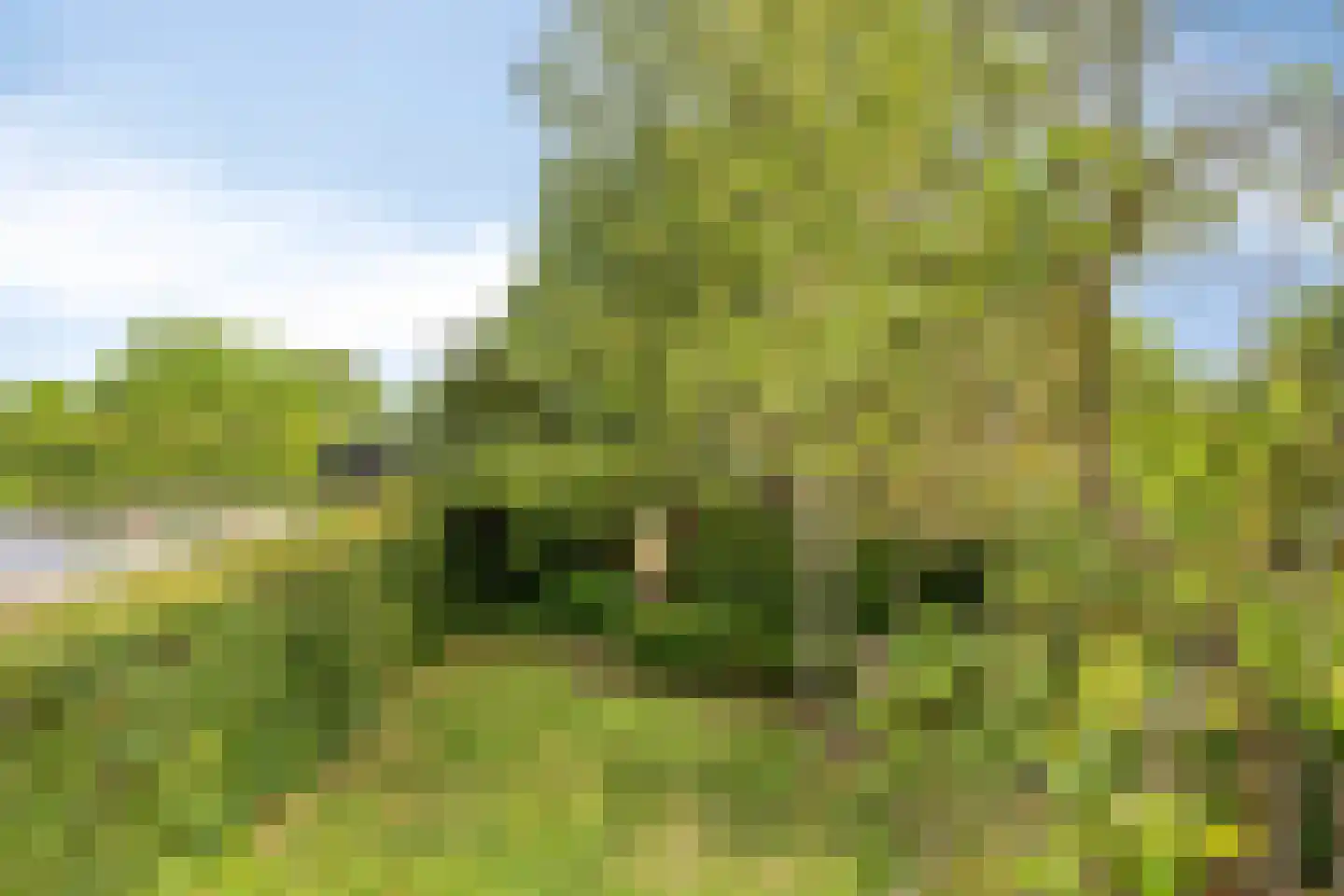 Heilig Kruisgildelaan 8 Nuenen thumbnail 35