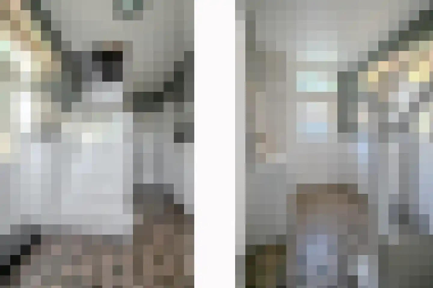 Heilig Kruisstraat 5 Grevenbicht thumbnail 4