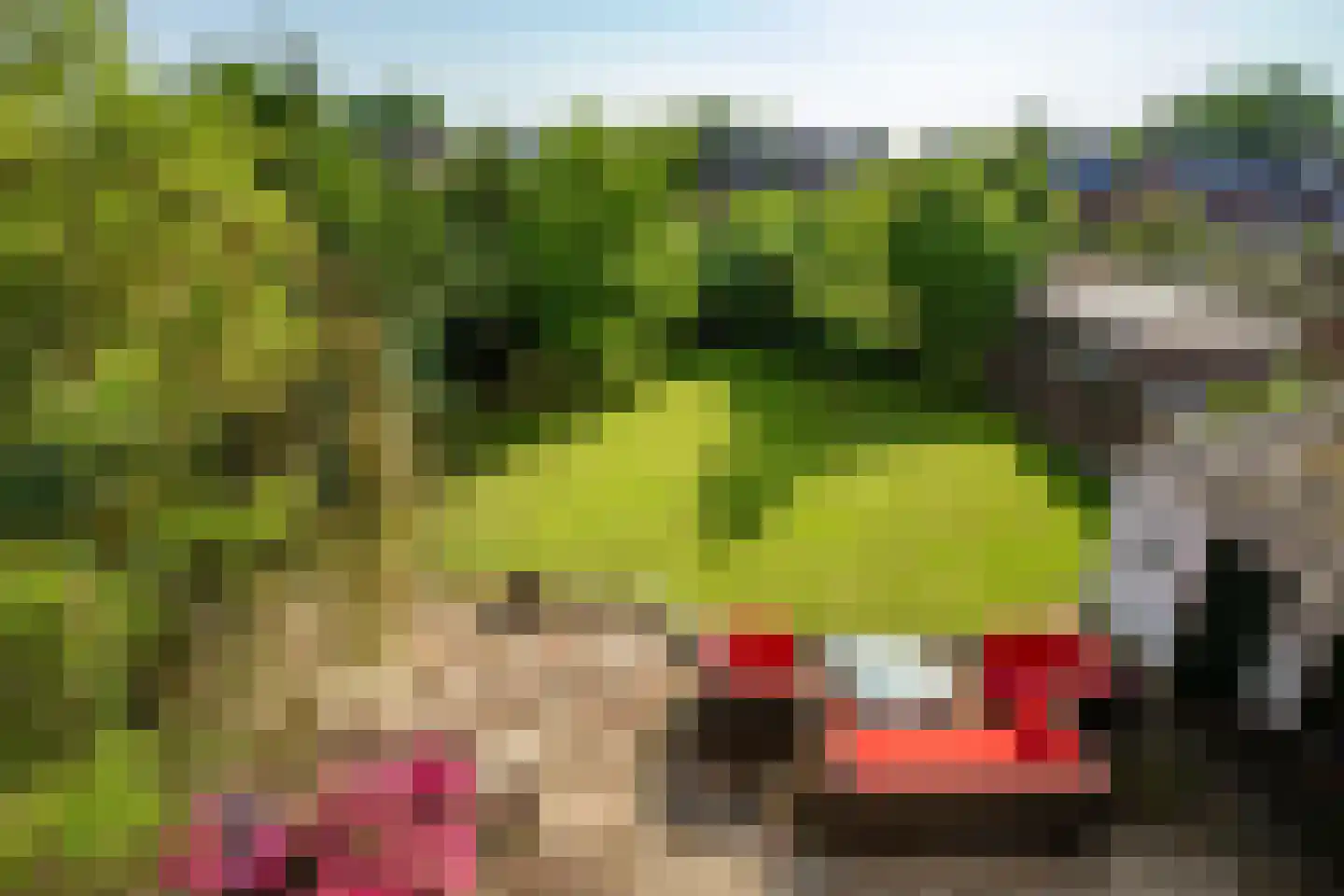 Heilig Kruisstraat 53 Grevenbicht thumbnail 21