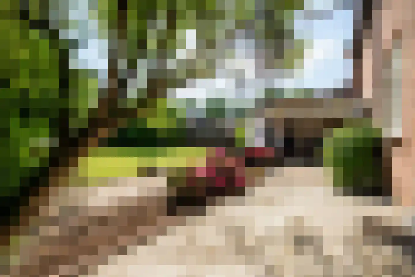 Heilig Kruisstraat 53 Grevenbicht thumbnail 22