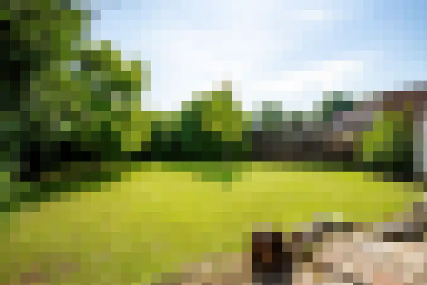Heilig Kruisstraat 53 Grevenbicht thumbnail 23