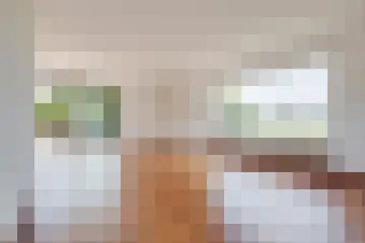 Heilig Kruisstraat 79 Grevenbicht thumbnail 33