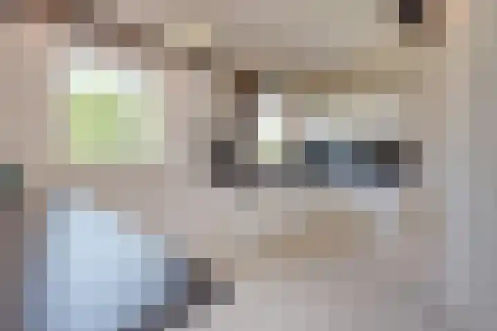 Heilig Kruisstraat 79 Grevenbicht thumbnail 34