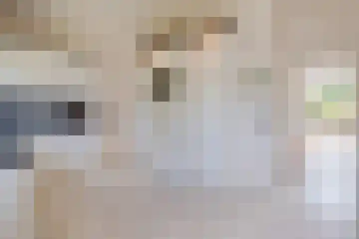 Heilig Kruisstraat 79 Grevenbicht thumbnail 36