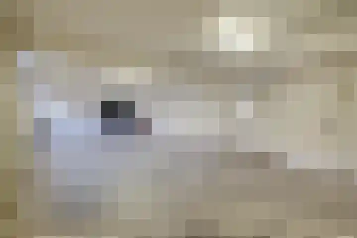 Heilig Kruisstraat 79 Grevenbicht thumbnail 44