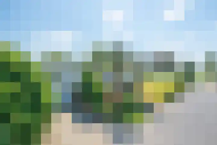 Heilig Kruisstraat 79 Grevenbicht thumbnail 5