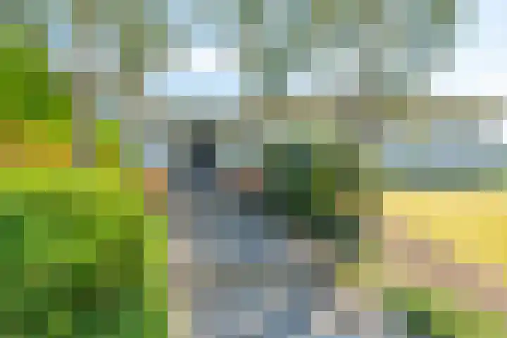 Heilig Kruisstraat 79 Grevenbicht thumbnail 56