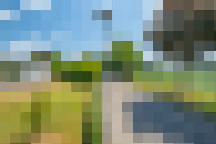 Heilig Kruisstraat 79 Grevenbicht thumbnail 58