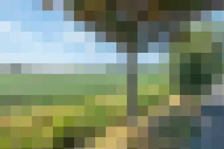 Heilig Kruisstraat 79 Grevenbicht thumbnail 59