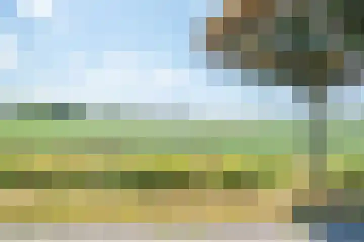 Heilig Kruisstraat 79 Grevenbicht thumbnail 60