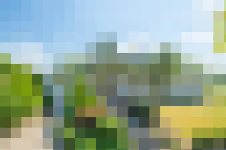 Heilig Kruisstraat 79 Grevenbicht thumbnail 64