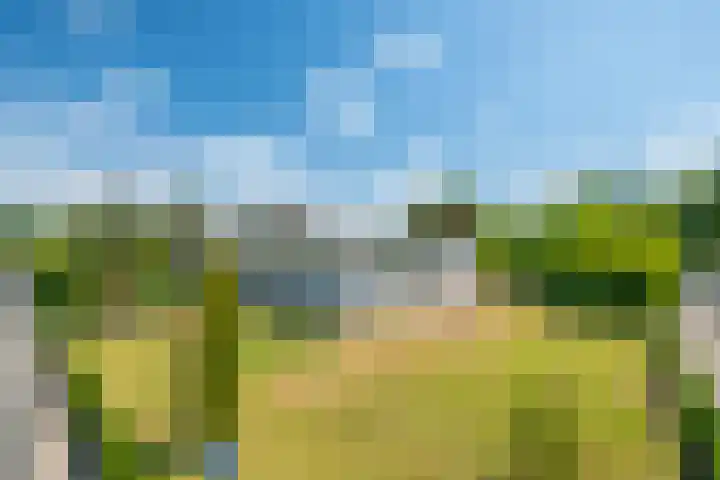 Heilig Kruisstraat 79 Grevenbicht thumbnail 9