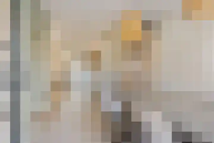 Heilige Eik 33 Heesch thumbnail 10