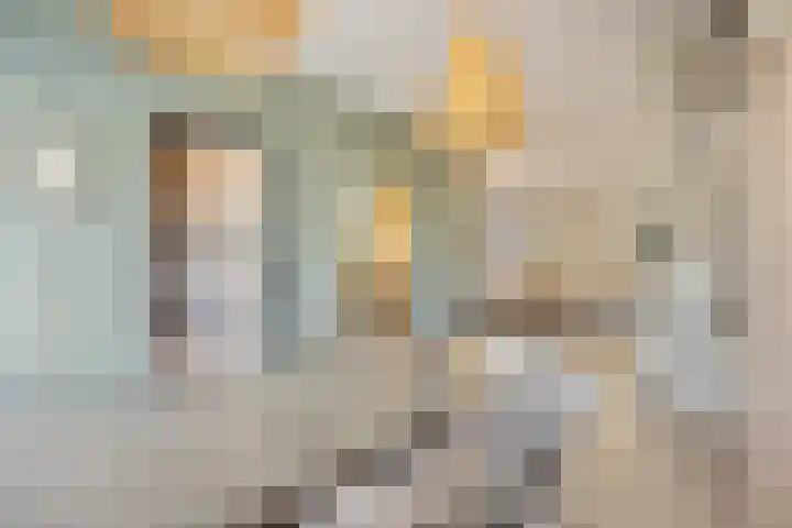 Heilige Eik 33 Heesch thumbnail 11