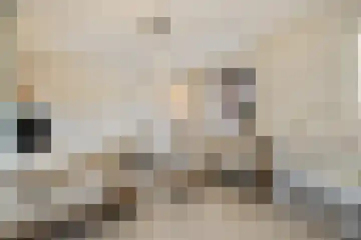 Heilige Eik 33 Heesch thumbnail 13
