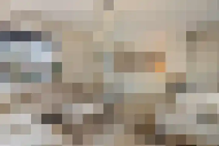 Heilige Eik 33 Heesch thumbnail 15