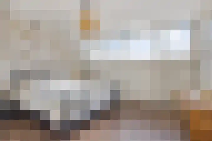 Heilige Eik 33 Heesch thumbnail 22
