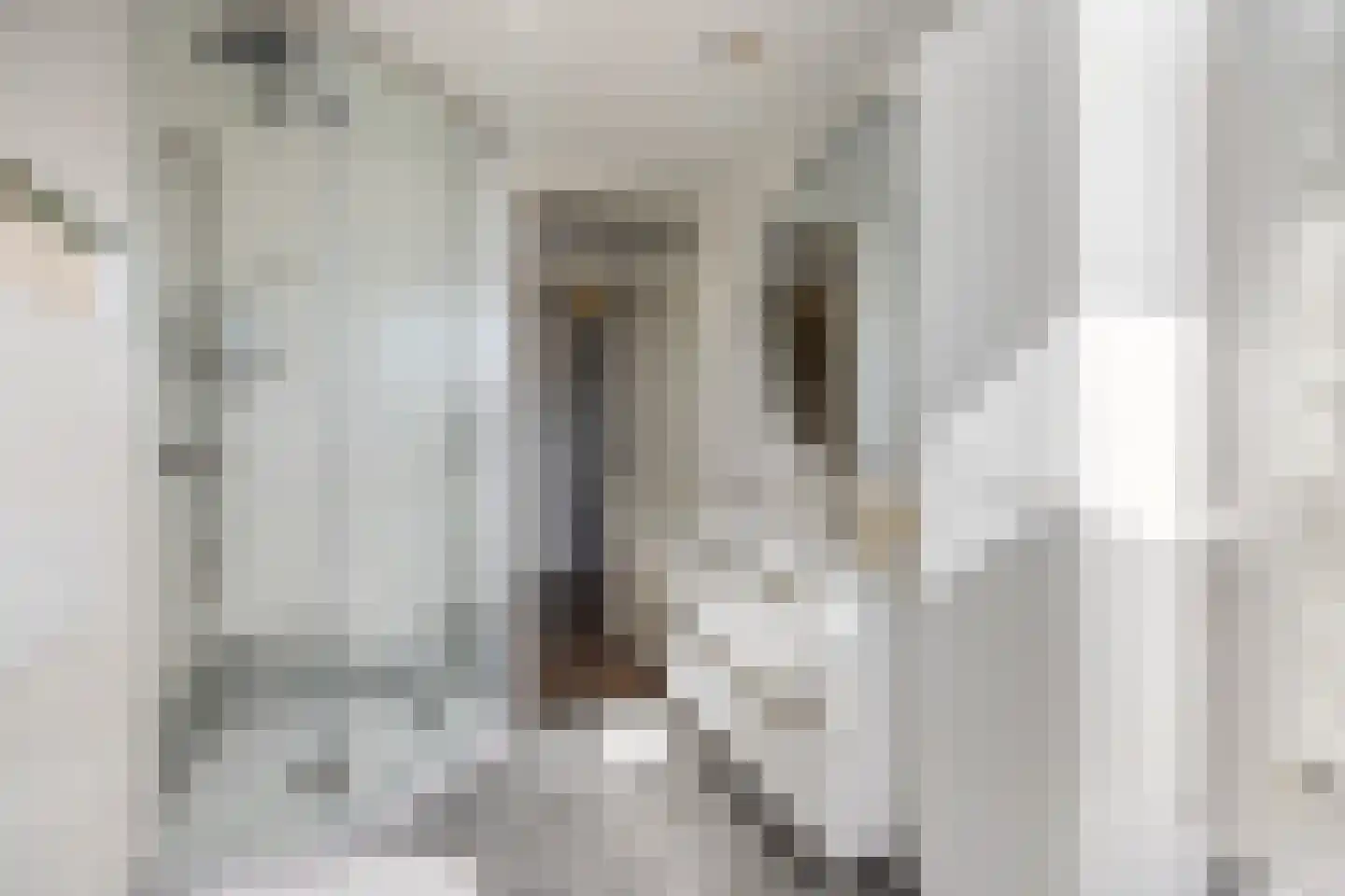 Heilige Eik 33 Heesch thumbnail 28