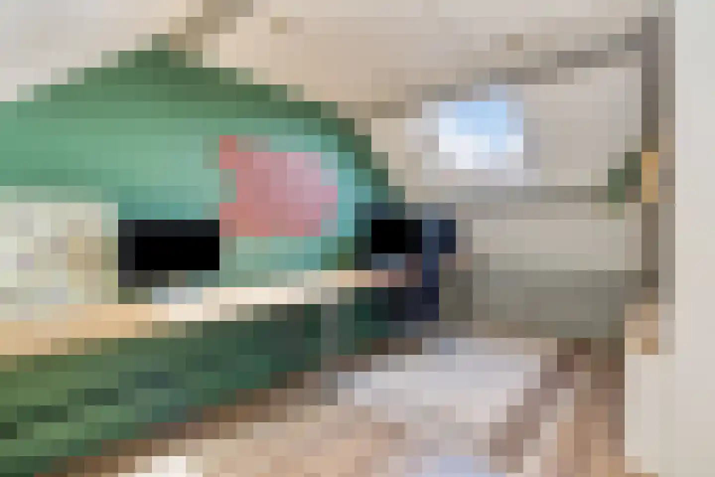 Heilige Eik 33 Heesch thumbnail 32