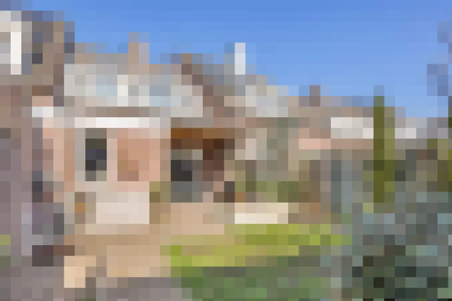 Heilige Eik 33 Heesch thumbnail 35