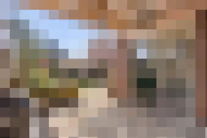 Heilige Eik 33 Heesch thumbnail 37